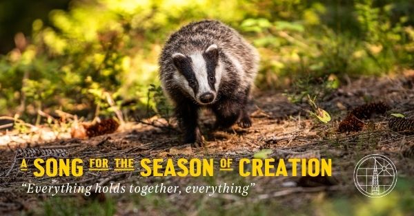 A Song for the Season of Creation text with badger walking through woods