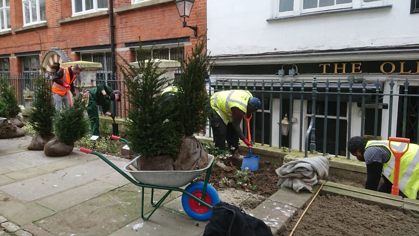 Volunteers planting the churchyard garden at St Bride's Church Fleet Street